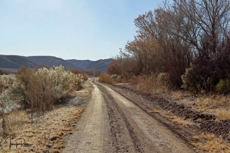 The road at Cornerstone Marsh. Ladd S Gordon Waterfowl Complex - La Joya Waterfowl Area