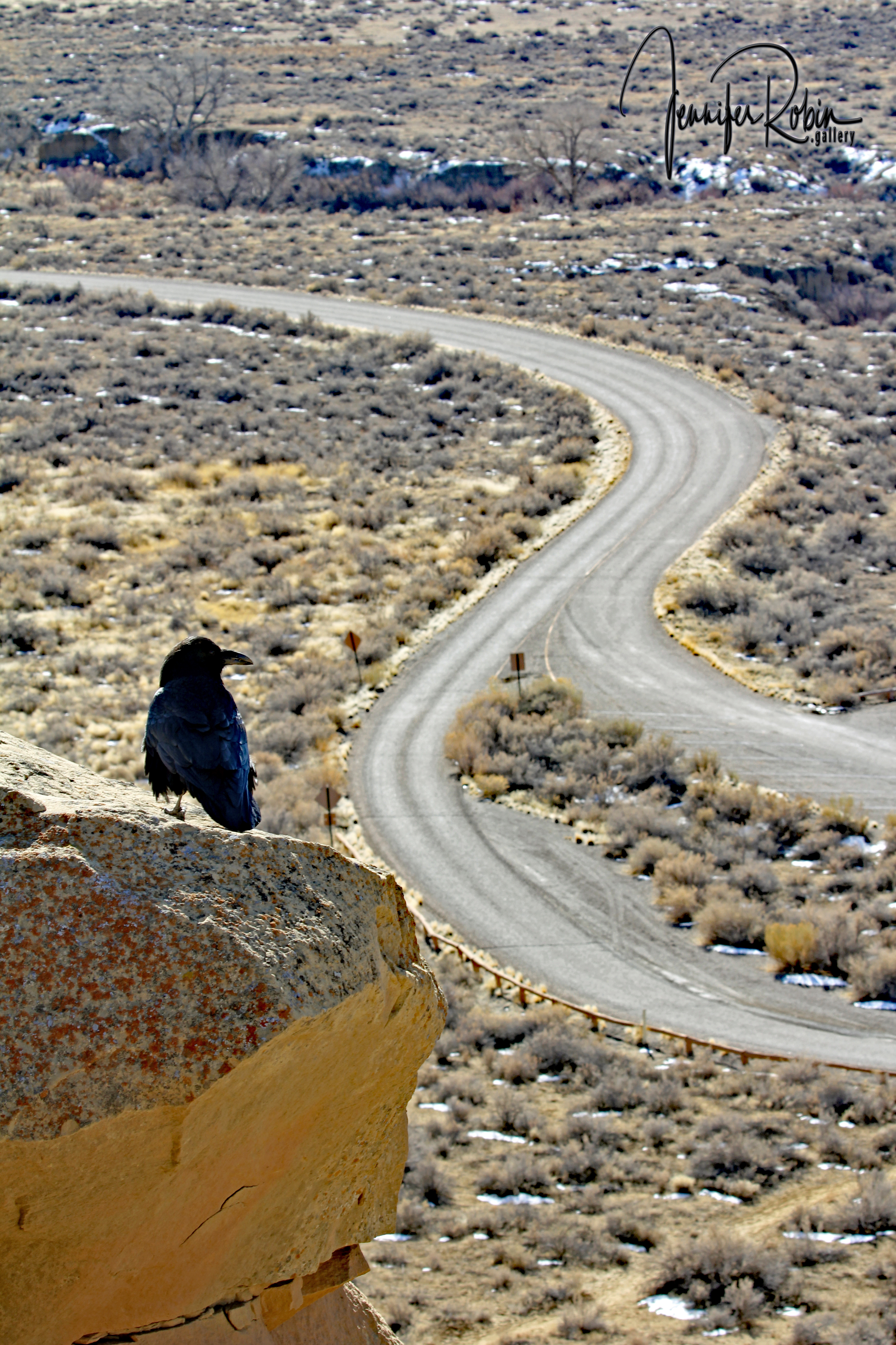 A raven overlooks the ruins and roadways for something to scavenge at Chaco Canyon in Nageezi, NM