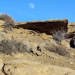 Moon shows over the ridgeline at Chaco Canyon in Nageezi, NM