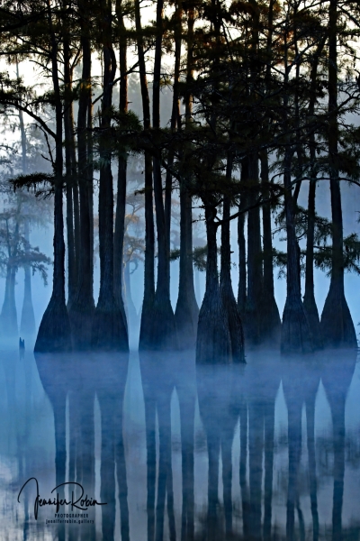 MORNING MIST ON WATSON POND