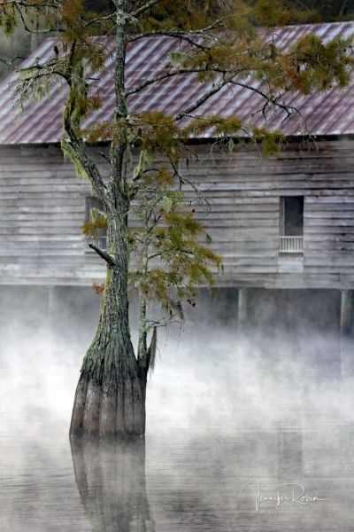 CYPRESS AT PARRISH MILL