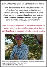 Dave-Cattoor-run-them-hard